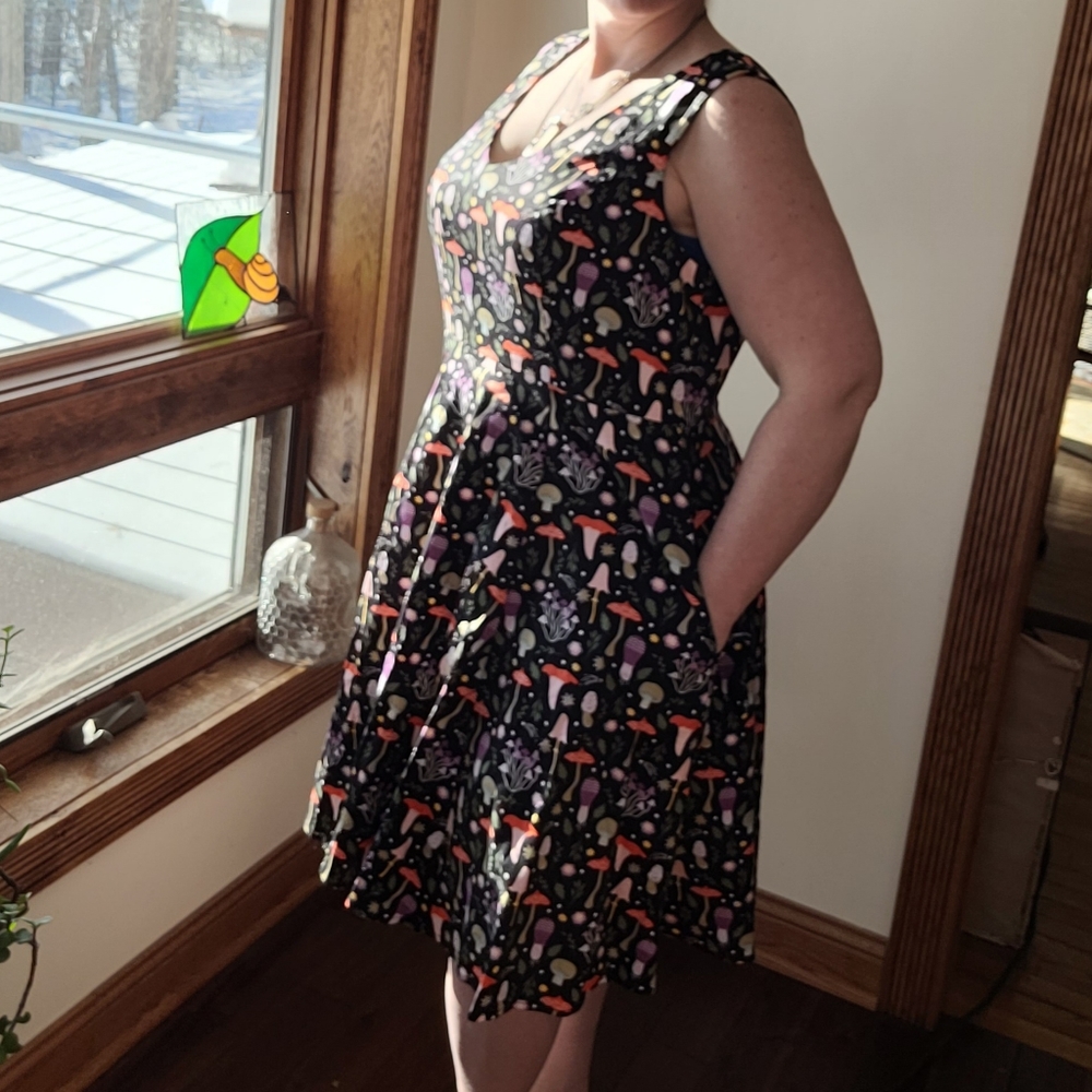 Eva Rose mushroom fit and flare dress 1X